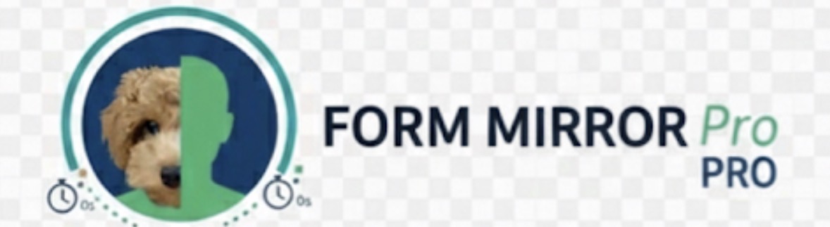Form Mirror Pro Logo